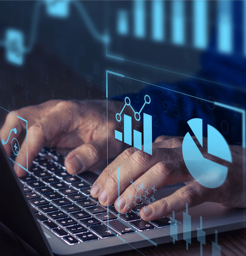 为什么选择皇家国际